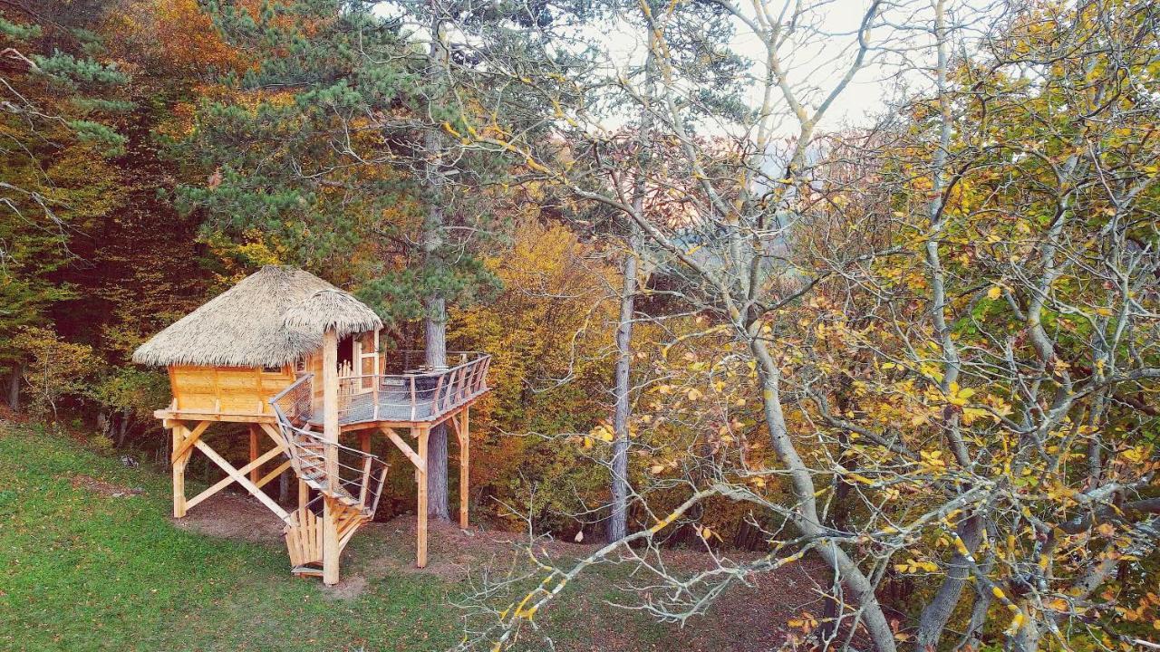 Pine Point Hotell Trenčianske Teplice Eksteriør bilde